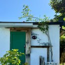 효재헤어 | 통영 촌캉스 감성 독채, 효재하우스 14-8 내돈내산 솔직 후기 🏡🌿