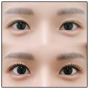 세니때뷰티샵 | [경기/부천시] 프리미엄 메이든뷰티 케라틴펌 블랙틴팅 추가시술 송내역 속눈썹펌