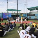 탄금야구장 이미지