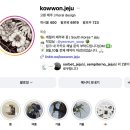 💍제주 웨딩스냅 준비 총정리 - 업체, 비용, 준비물 공유