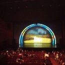 더케이아트홀 Daum카페