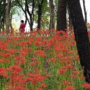 한대앞역 이미지