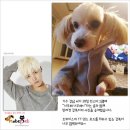 (주) 하늘펫 이미지