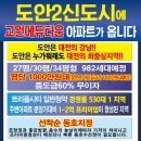 도안982