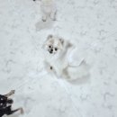 개스트룸 이미지