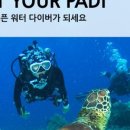 바다스쿠바 이미지