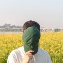 주식회사 아보카도엔터테인먼트 이미지