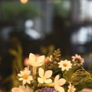 더 올림(The Ollim) 이미지