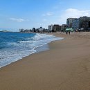 천진해변 이미지