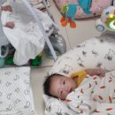 주성이네 옷 이미지