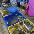 삼호상회 이미지