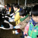 라파농장 이미지