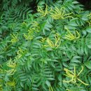 해오름길 이미지