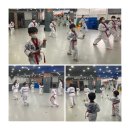 에스 태권도장 이미지