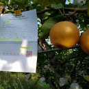 국립농산물품질관리원지원익산사무소 이미지