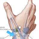 더본한의원 이미지