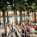 플라멩코댄스 이미지