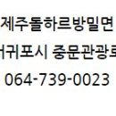 제주돌하르방밀면