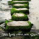 이끼와돌 이미지