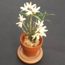 석곡농장 이미지