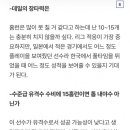캬 크보 탑 유격수를 2만달러에 데려온 대 범 호 이미지