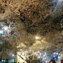 금이돼지국밥 이미지