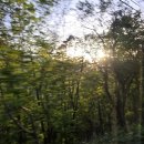 포레스트 리솜 제천 후기, 숲뷰 스파 조식 산책로 할인 특가 총정리