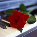 플라워 테라피 이미지