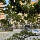 한정식 소나무 앞 이미지