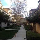 피피푸푸 이미지