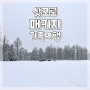 대청계곡 입구 공중화장실(휴게소옆) | 삿포로 하나투어 3박 4일 패키지 가족여행ෆ 2일차 비에이 청의호수 흰수염폭포 와인하우스