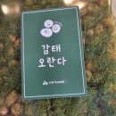 동백하우스 | 📍용인 동백 답례품(선물) 고민 끝! 알알이 하우스 오란다