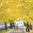 의동마을 이미지