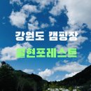 월현 | 강원도 횡성 캠핑장 월현포레스트, 국내 루지 최장 코스 횡성루지체험장 후기