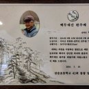 속초비치호스텔 이미지