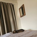 오씨주택 이미지