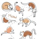 고양이랑 이미지