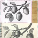 아이 꿈미술학원 이미지