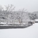 바다향기 이미지