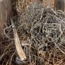 김유정로 L 이미지