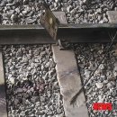 망월사역 이미지