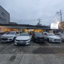 도리도리 이미지