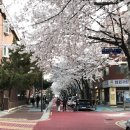 세븐일레븐 당인동점 네이버블로그