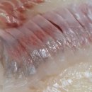 웅이포장 이미지