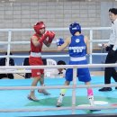 경희대BURN800복싱 이미지