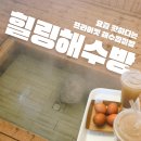 공룡나라 해수 찜질방 | 영종도 해수찜질방 힐링해수방 내돈내산 200% 즐기는 꿀팁 대방출
