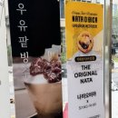 상리목장 이미지