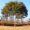 상동호수공원 이미지