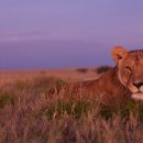 gc-camera-021 이미지