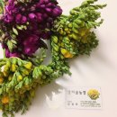 삼아농장 이미지